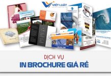 Dịch vụ in Brochure giá rẻ