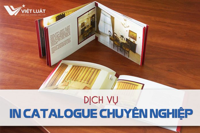 Dịch vụ in catalogue