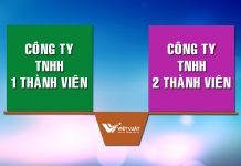 Công ty TNHH 1 thành viên khác công ty TNHH 2 thành viên như thế nào? So sánh sự khác nhau giữa công ty TNHH 1 thành viên và 2 thành viên