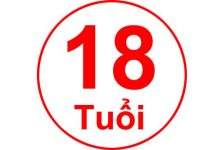 Vì sao công an không xử lý người dưới 18 tuổi ăn trộm xe máy? 18 tuổi