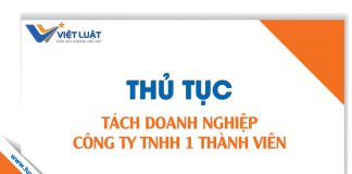 Thủ tục tách công ty TNHH 1 thành viên