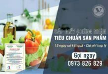 Cấp giấy chứng nhận tiêu chuẩn sản phẩm Cấp-giấy-chứng-nhận-tiêu-chuẩn-sản-phẩm
